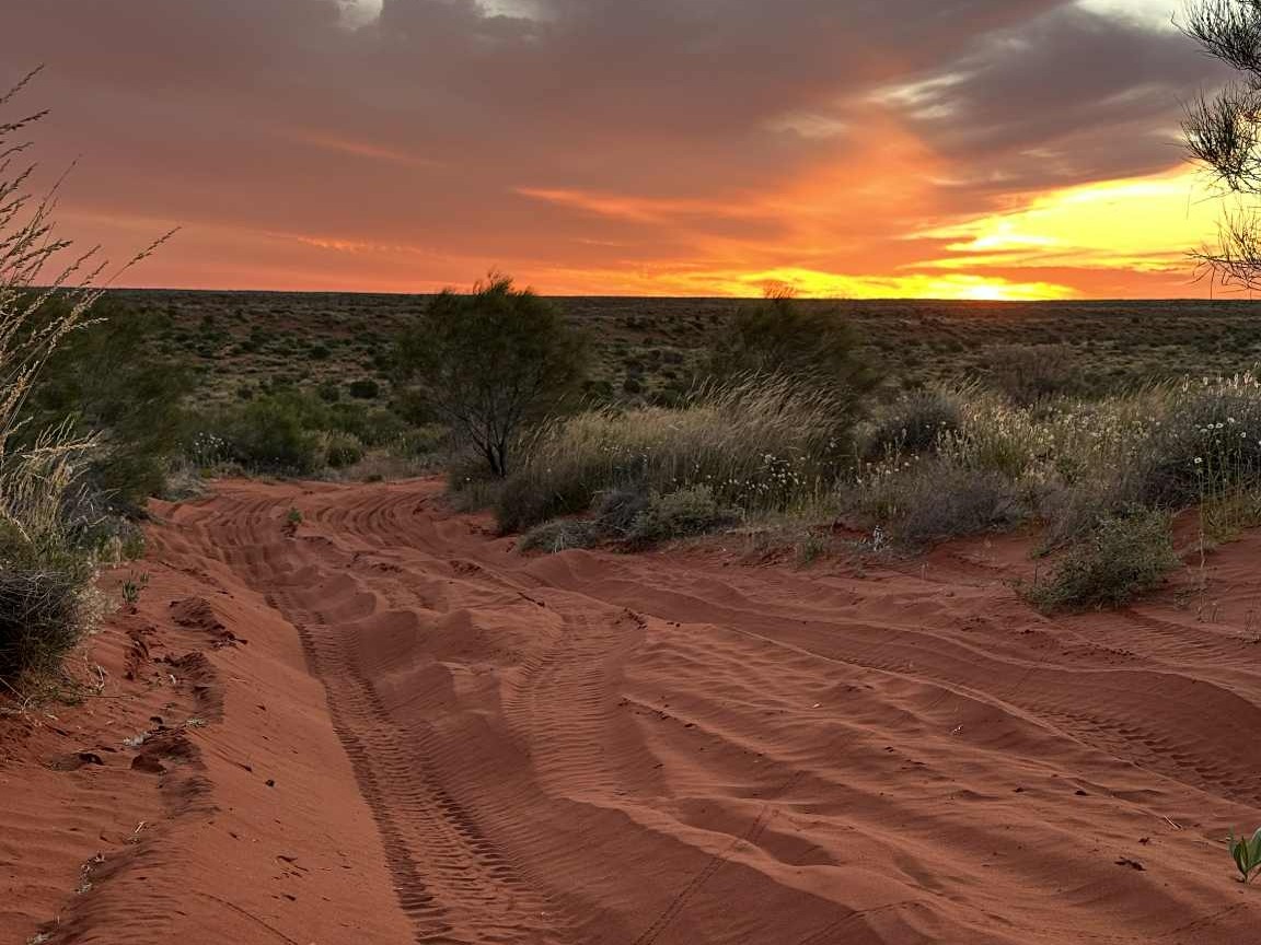 Simpson Desert