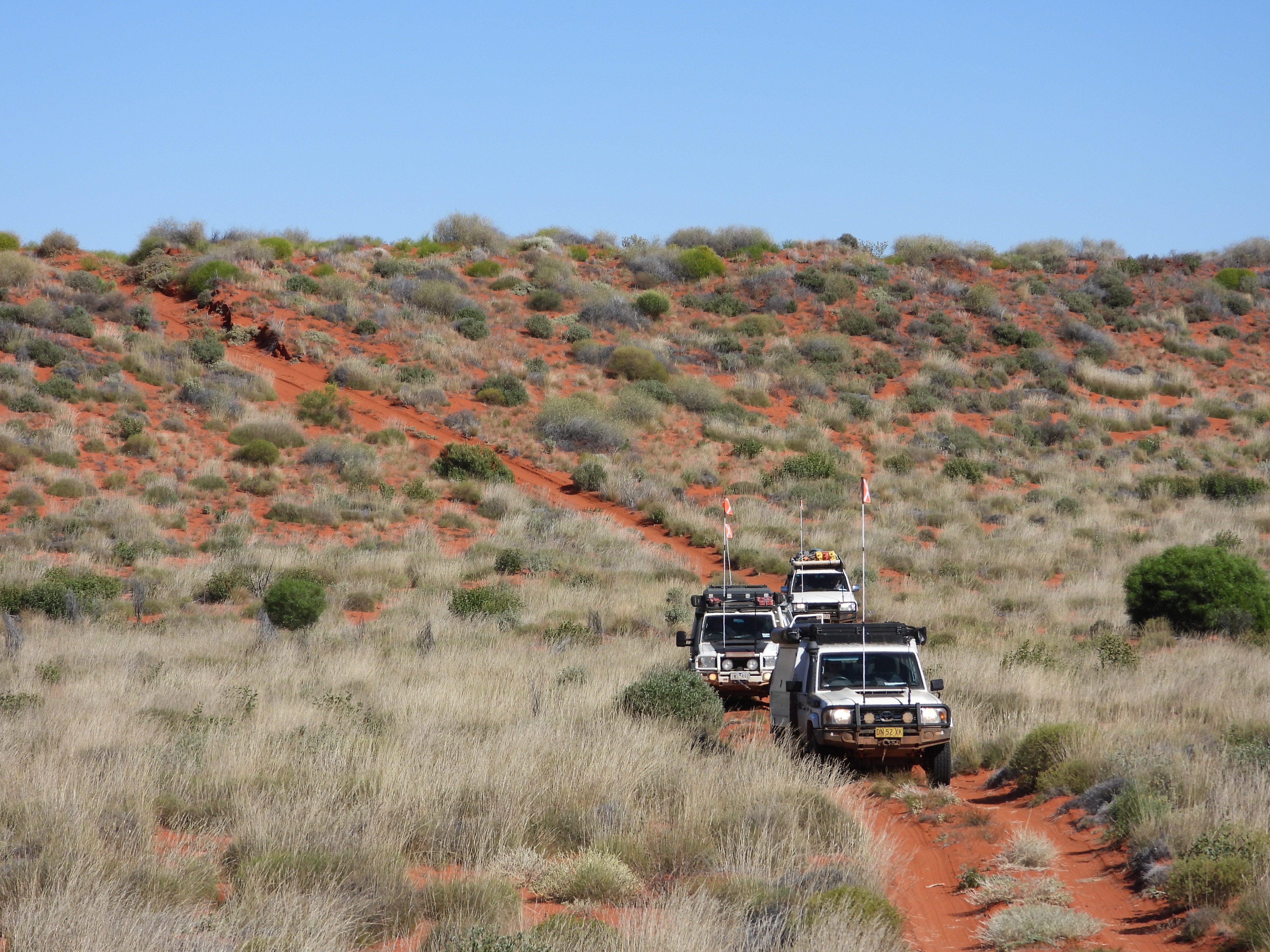 Simpson Desert